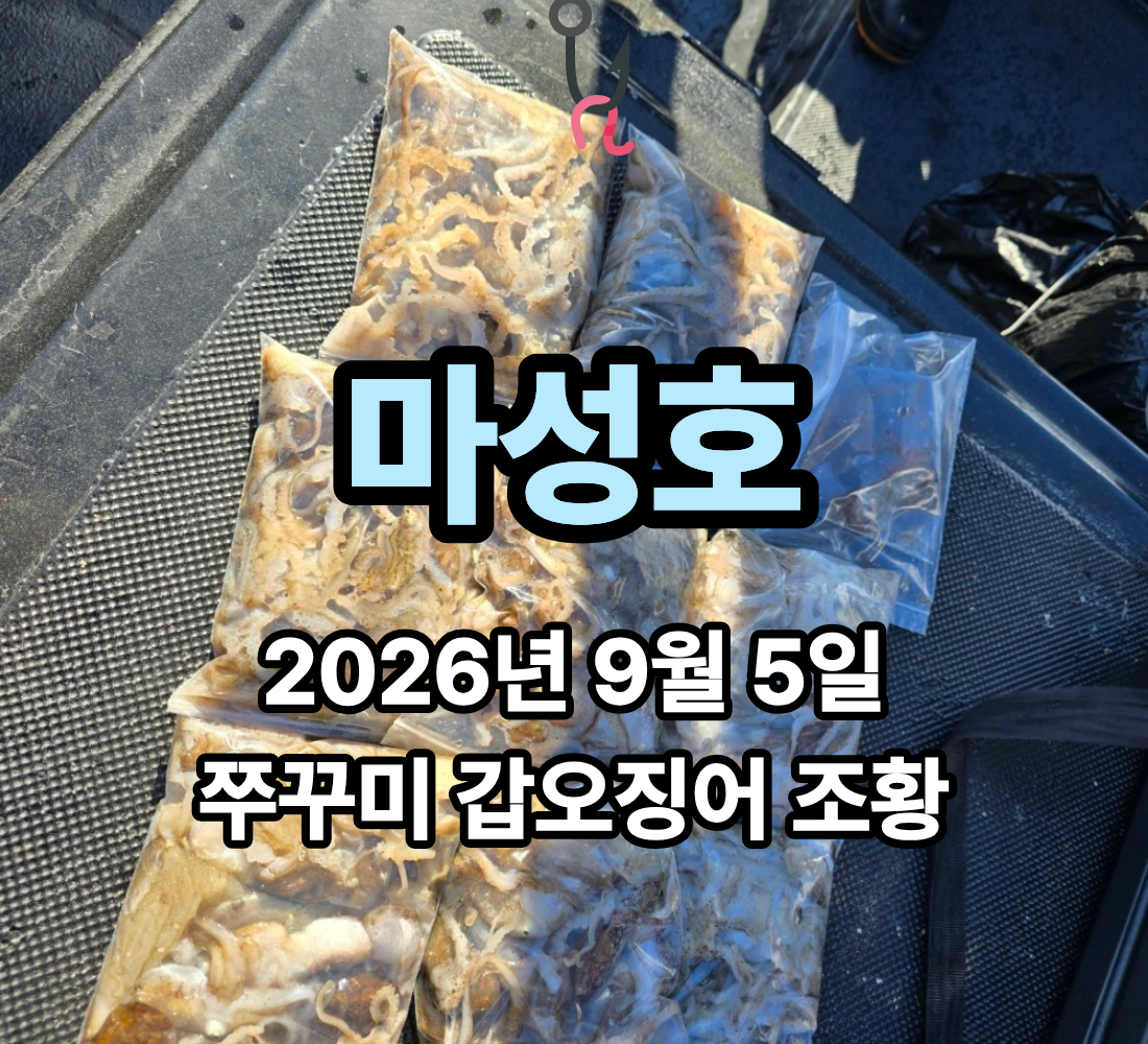 [마성호] 9월 5일 토요일 쭈꾸미 갑오징어 조황