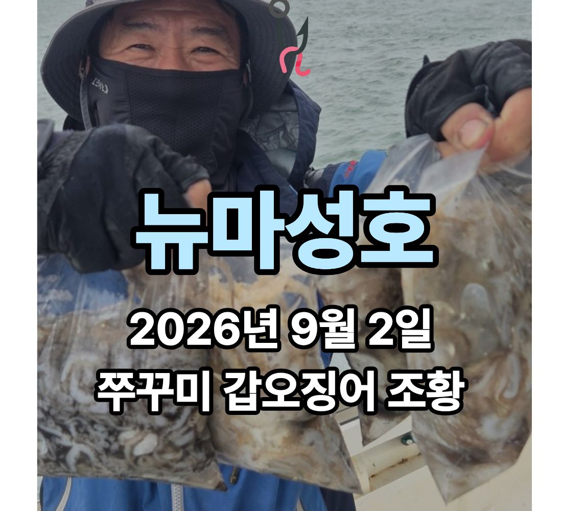 [뉴마성호] 9월 2일 수요일 쭈꾸미 갑오징어 조황