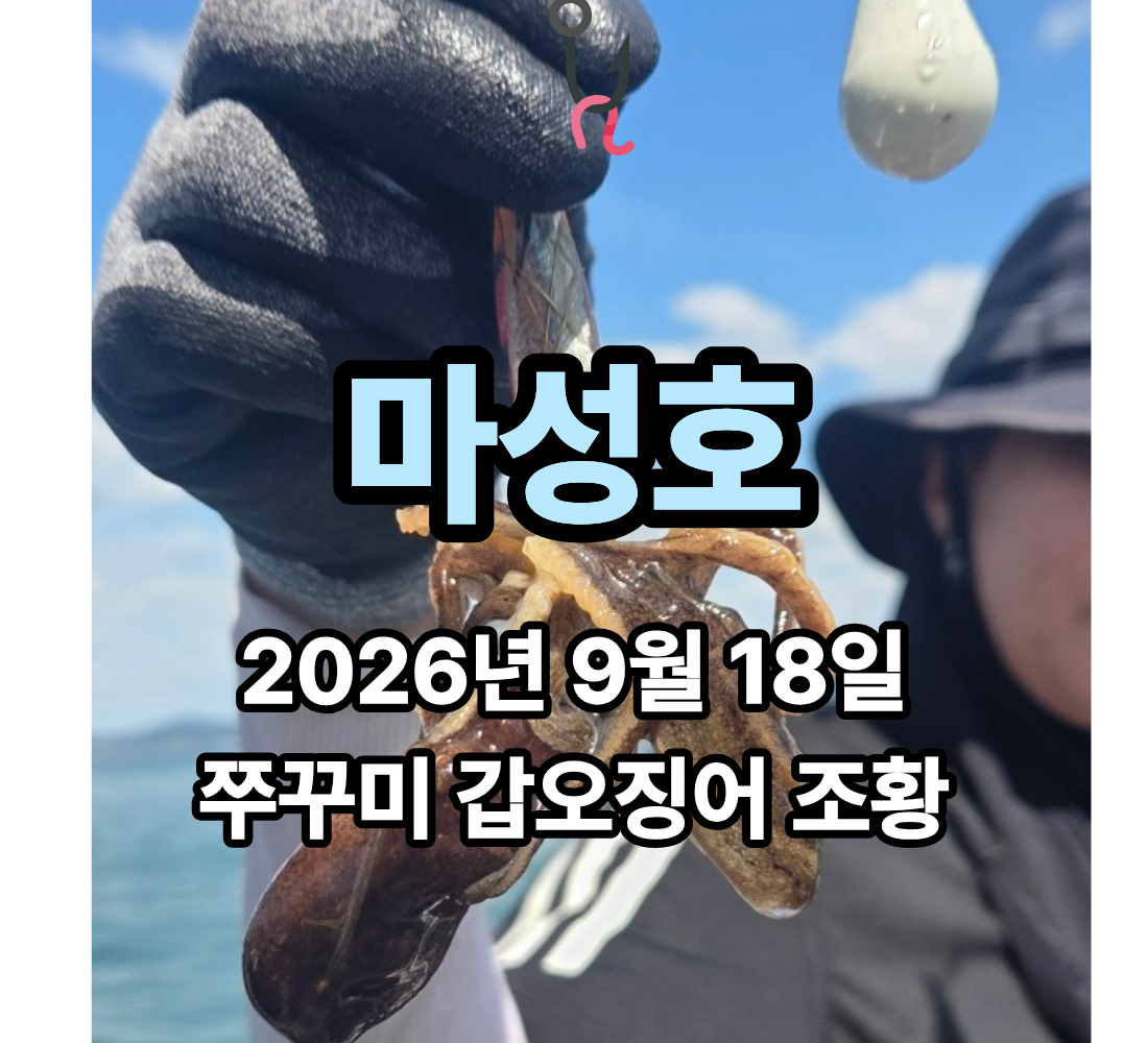 [마성호] 9월 18일 금요일 쭈꾸미 갑오징어 조황