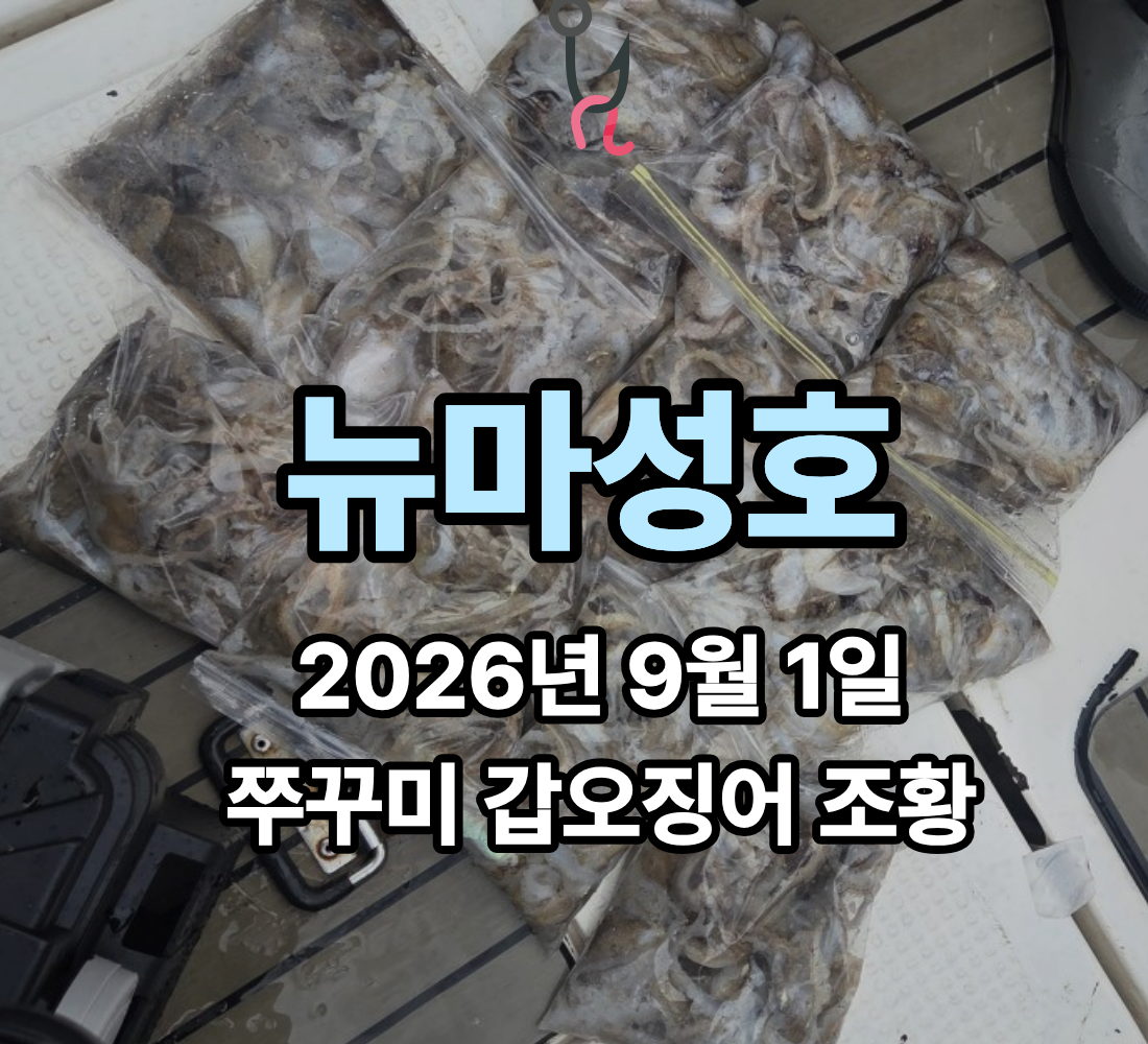 [뉴마성호] 9월 1일 화요일 쭈꾸미 갑오징어 첫 조황