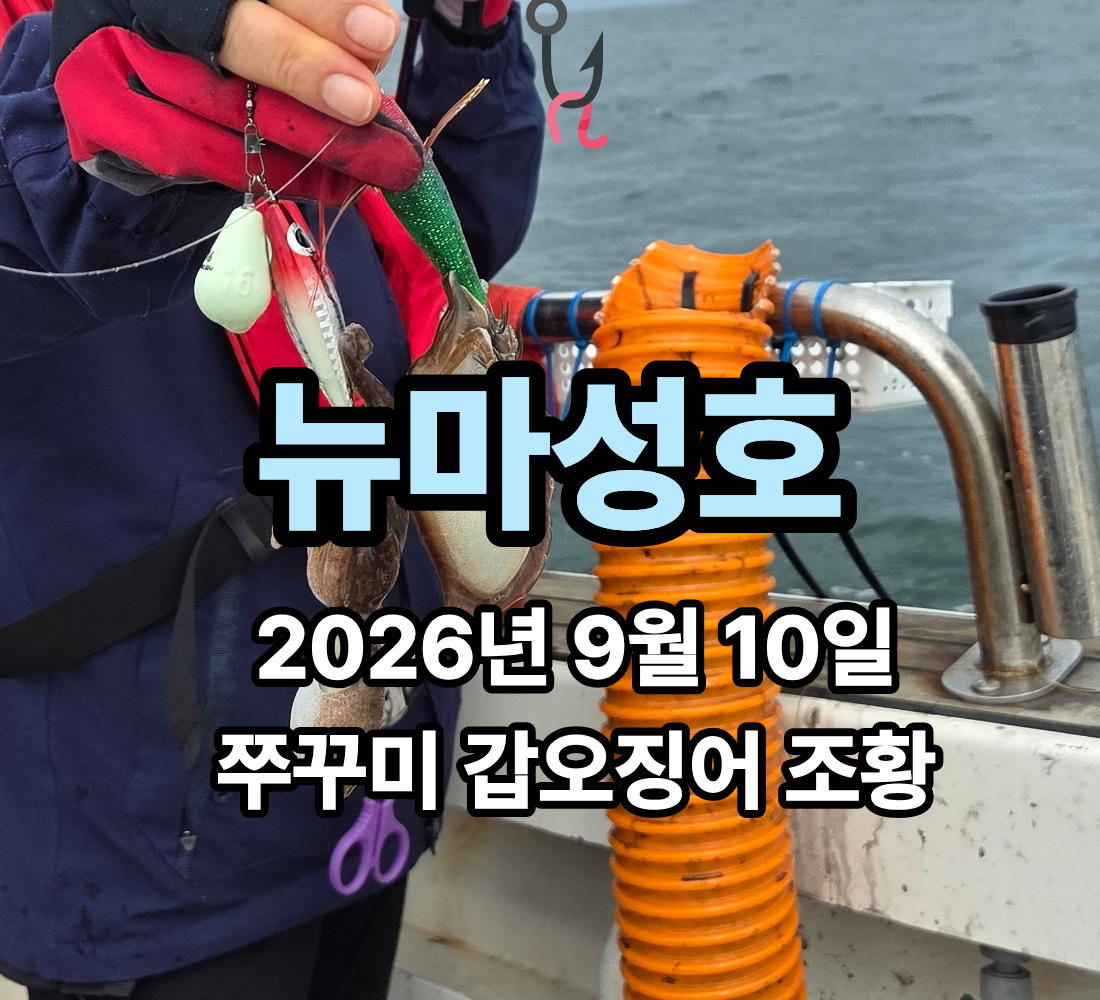 [뉴마성호] 9월 10일 목요일 쭈꾸미 갑오징어 조황