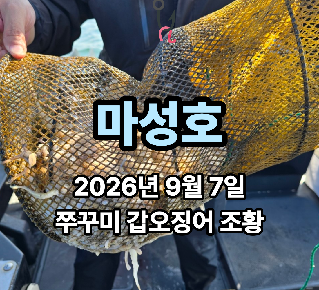 [마성호] 9월 7일 월요일 쭈꾸미 갑오징어 조황