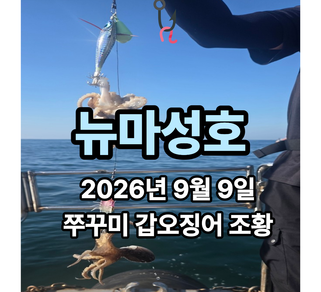 [뉴마성호] 9월 9일 수요일 쭈꾸미 갑오징어 조황