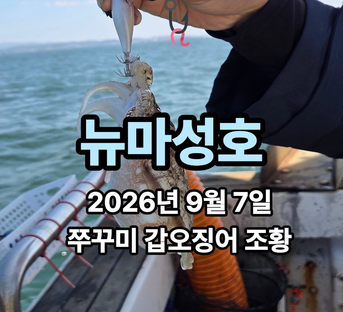 [뉴마성호] 9월 7일 월요일 쭈꾸미 갑오징어 조황