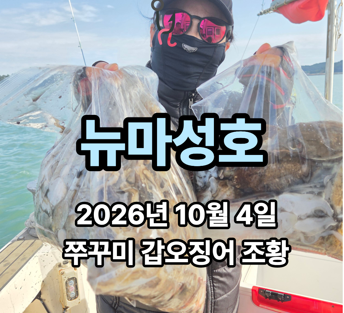 [뉴마성호] 10월 4일 일요일 쭈꾸미 갑오징어 조황