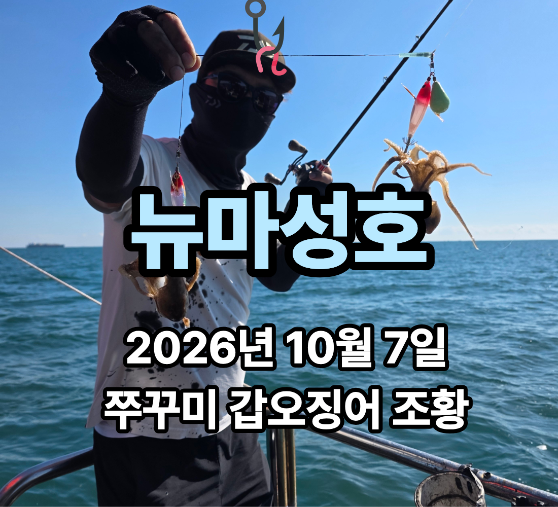 [뉴마성호] 10월 7일 수요일 쭈꾸미 갑오징어 조황